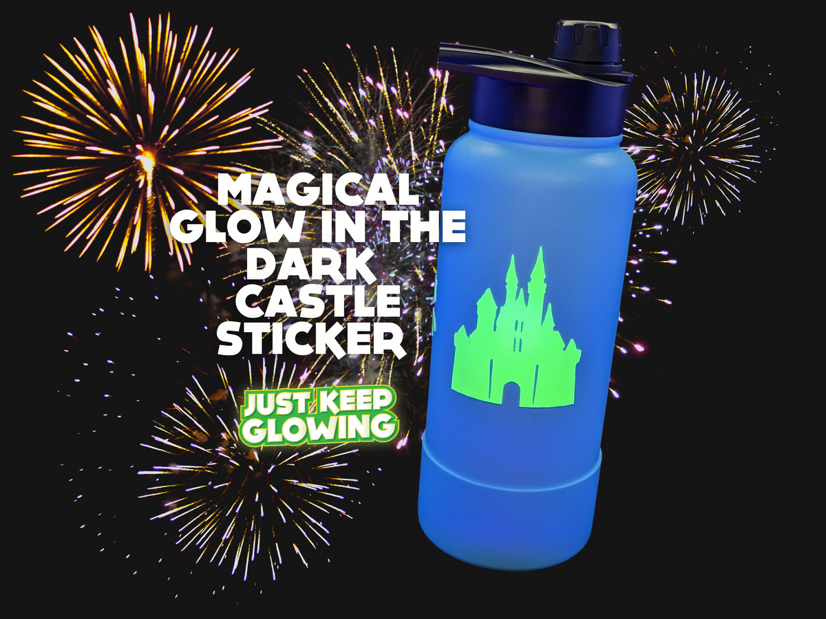 Magical Disney Castle Water Tumbler